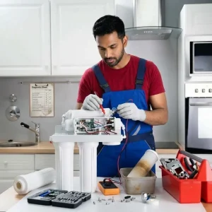 Domestic RO Water Purifier Repair Service